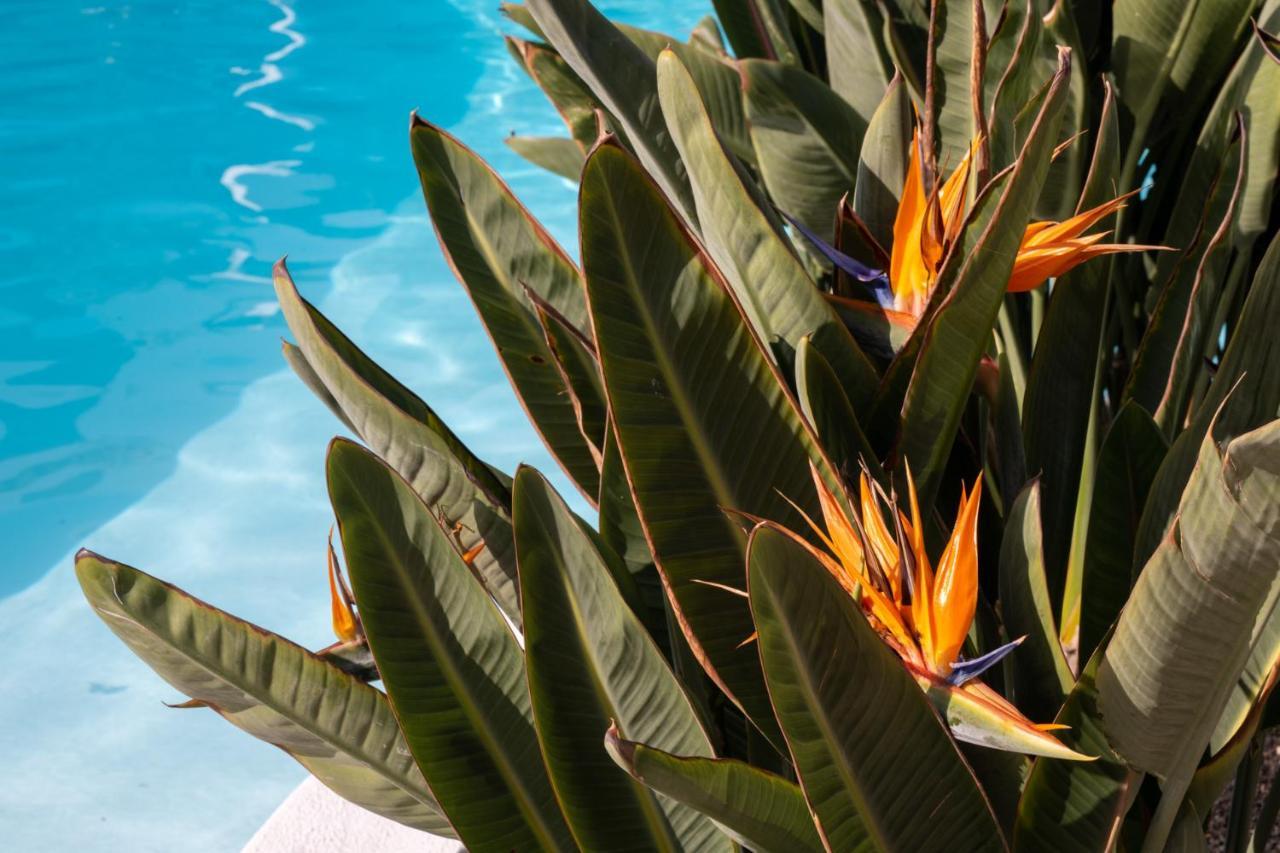 Nazaret Mansion Hotell Costa Teguise Exteriör bild
